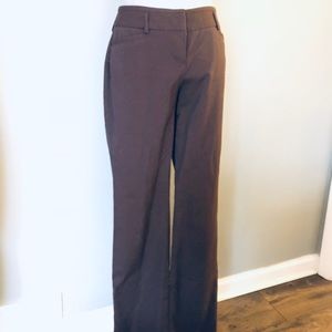 Express Boot Cut Dress Pants!